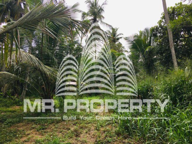 Land for sale minuwangoda