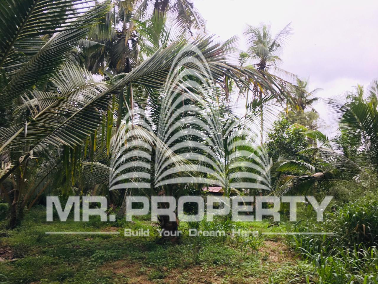 Land for sale minuwangoda