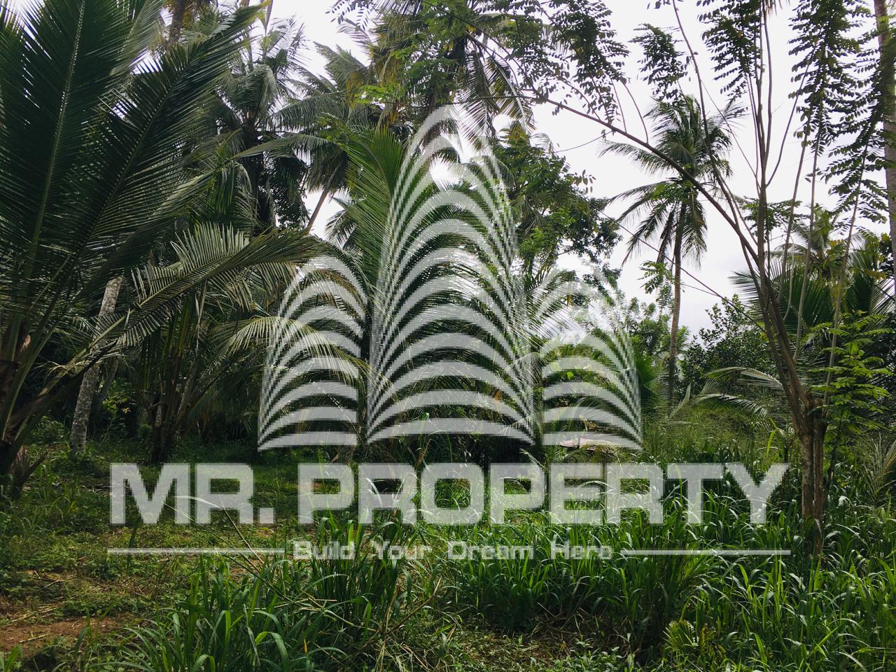 Land for sale minuwangoda