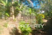 Land for sale walimada