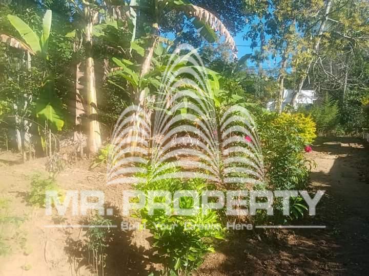 Land for sale walimada