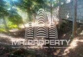 Land for sale walimada