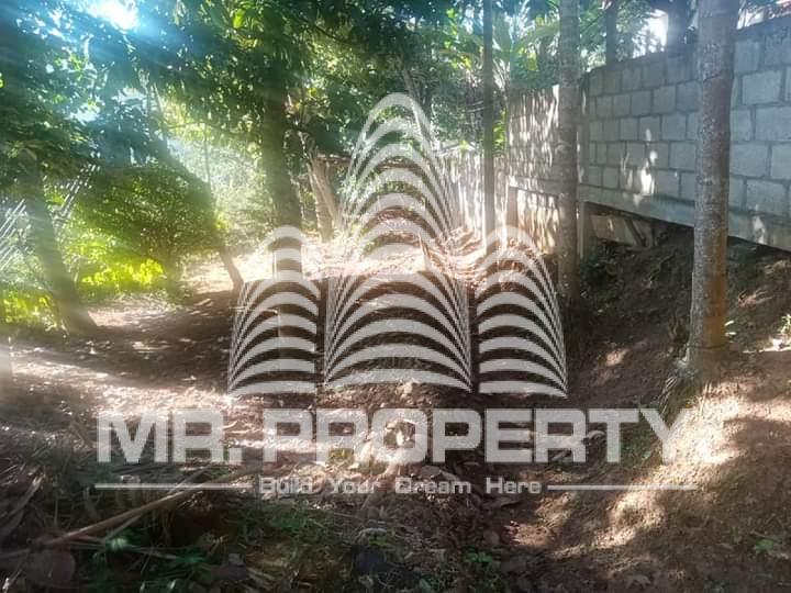 Land for sale walimada