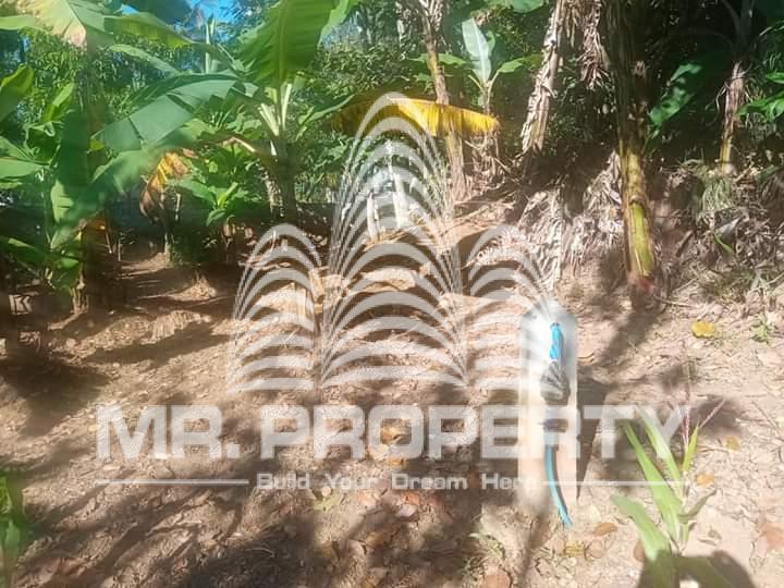 Land for sale walimada