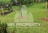 Land and house for sale veyangodatown