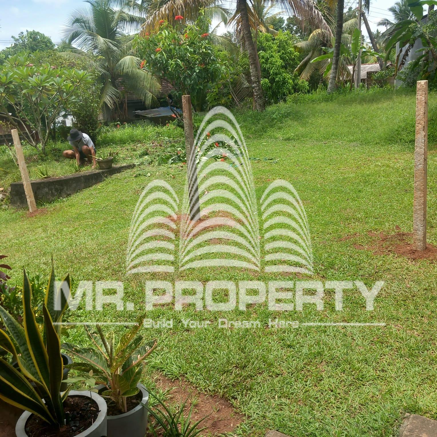 Land and house for sale veyangodatown