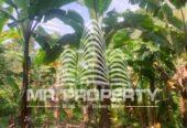 Land for sale delgoda town