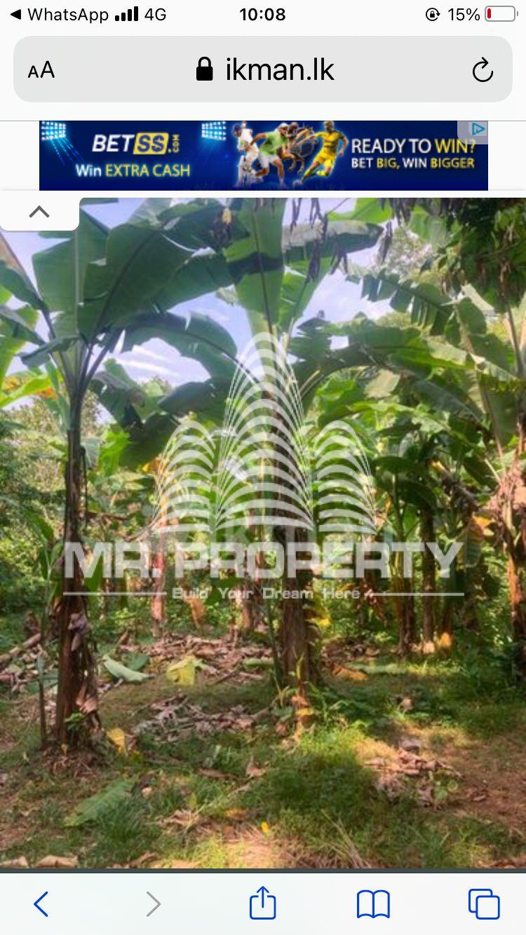 Land for sale delgoda town