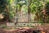 Land for sale delgoda town
