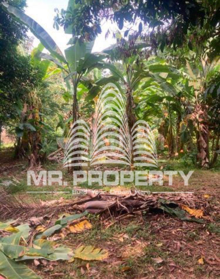Land for sale delgoda town