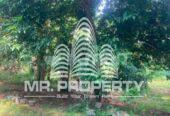 Land for sale delgoda town