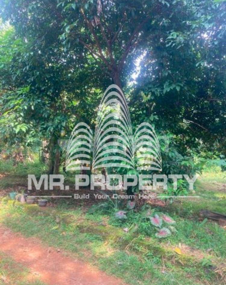 Land for sale delgoda town
