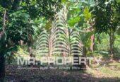 Land for sale delgoda town