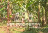 Land for sale delgoda town