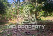 Land for sale delgoda town