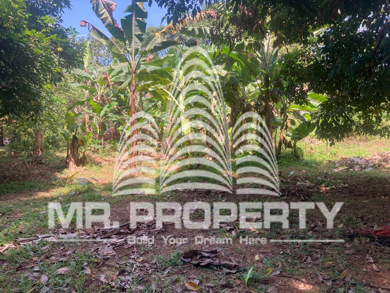 Land for sale delgoda town