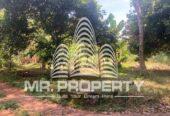 Land for sale delgoda town