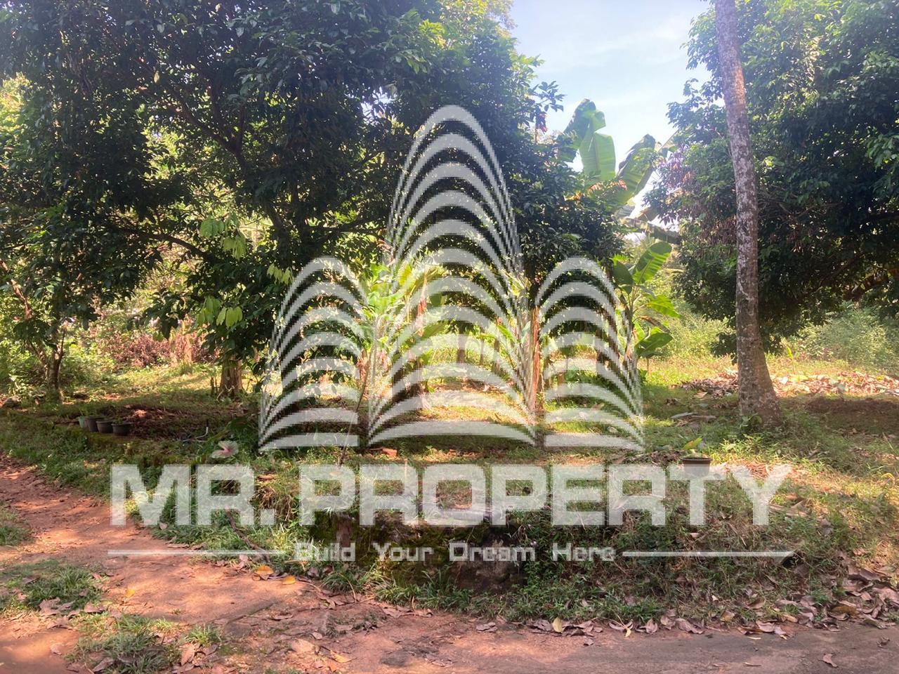 Land for sale delgoda town