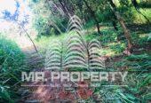 Land for sale kandy gannoruwa