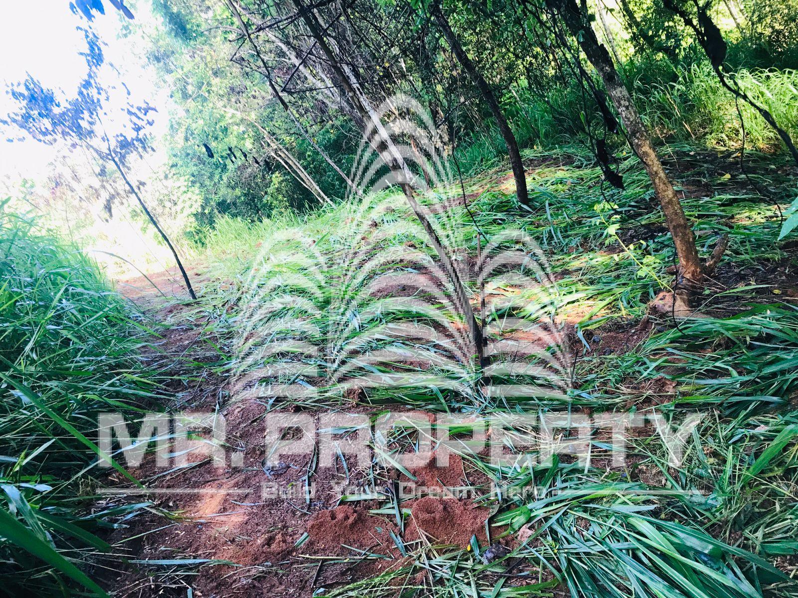 Land for sale kandy gannoruwa