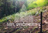 Land for sale kandy gannoruwa