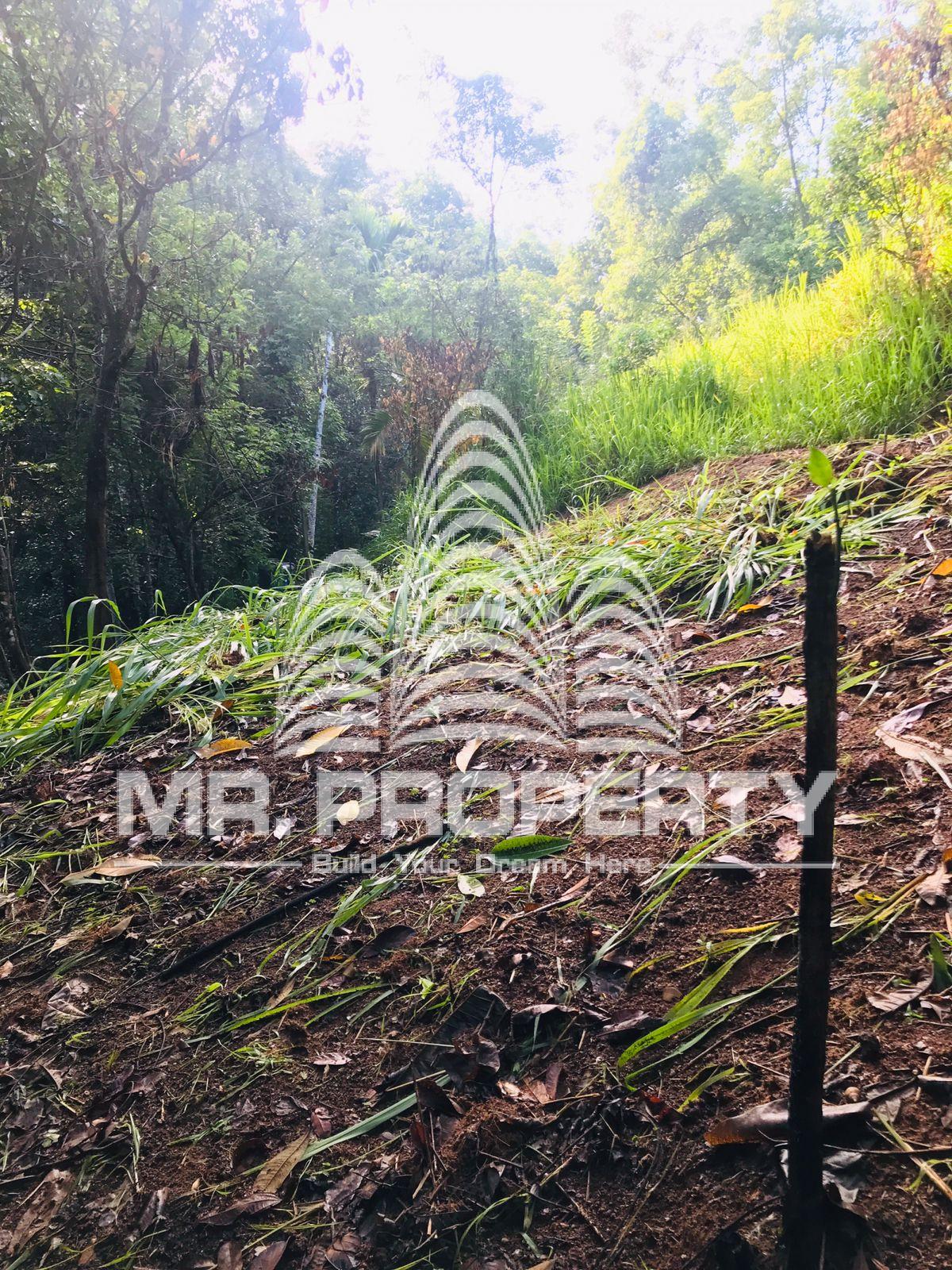Land for sale kandy gannoruwa