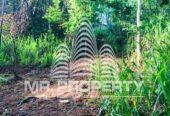 Land for sale kandy gannoruwa