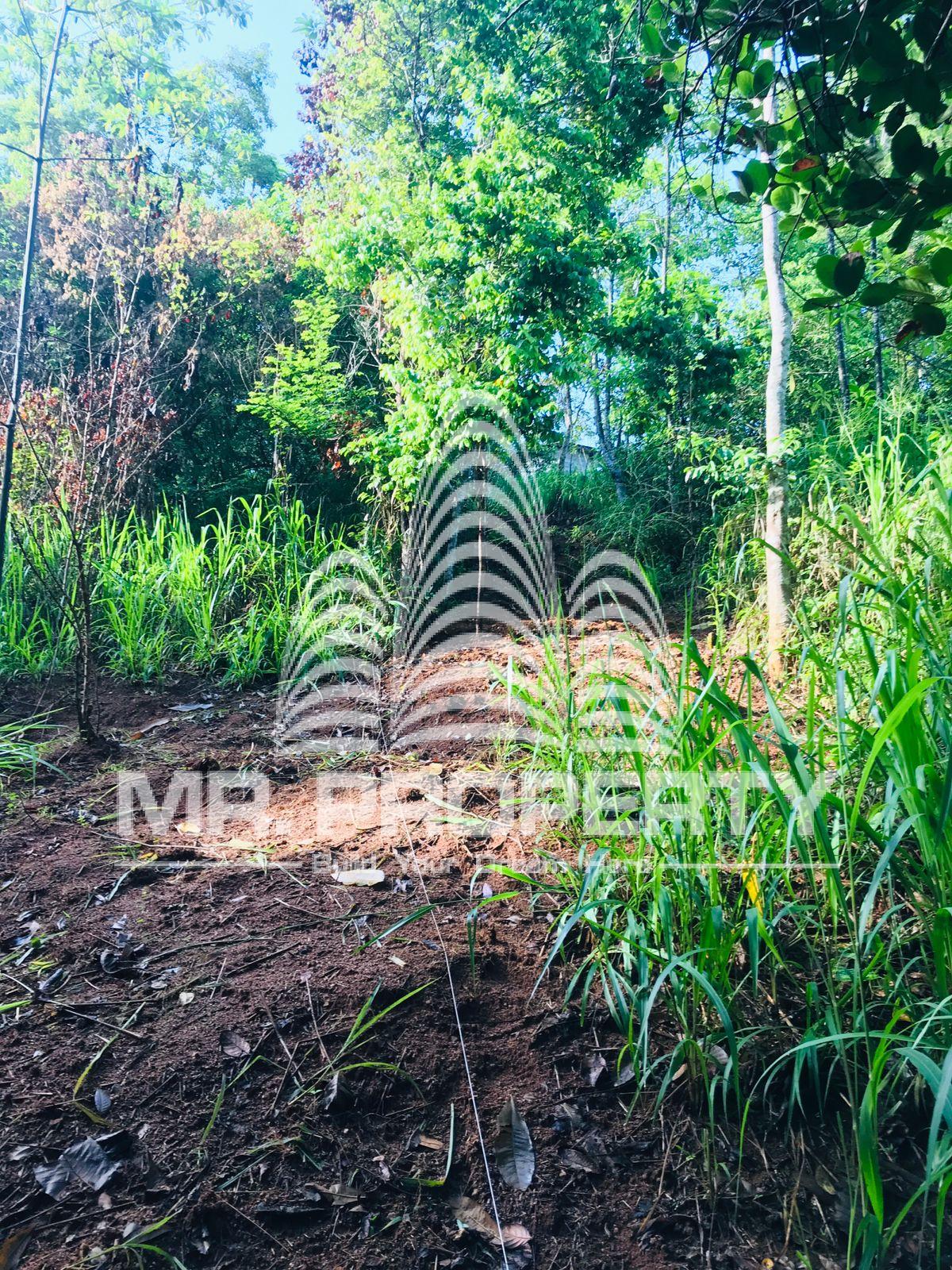 Land for sale kandy gannoruwa