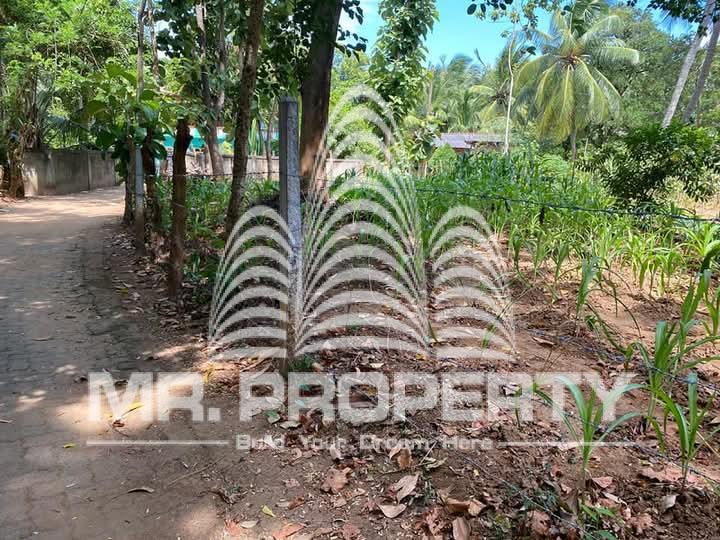 Land for sale dambulla kurunegala road