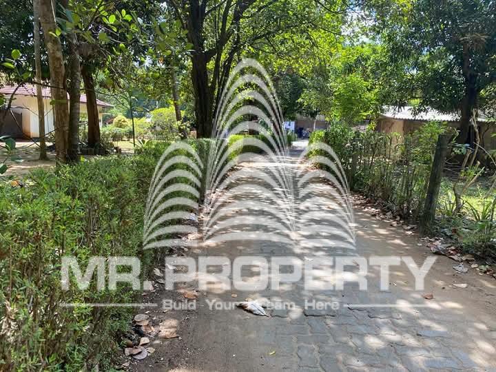 Land for sale dambulla kurunegala road