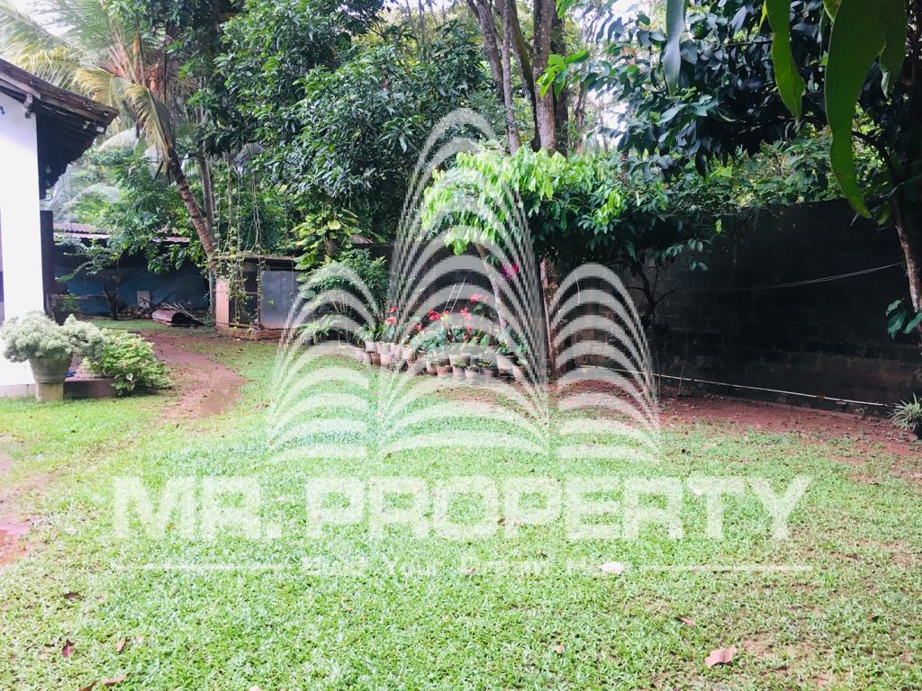 House for sale seeduwa