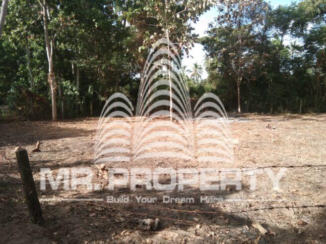 Land for sale minuwangoda