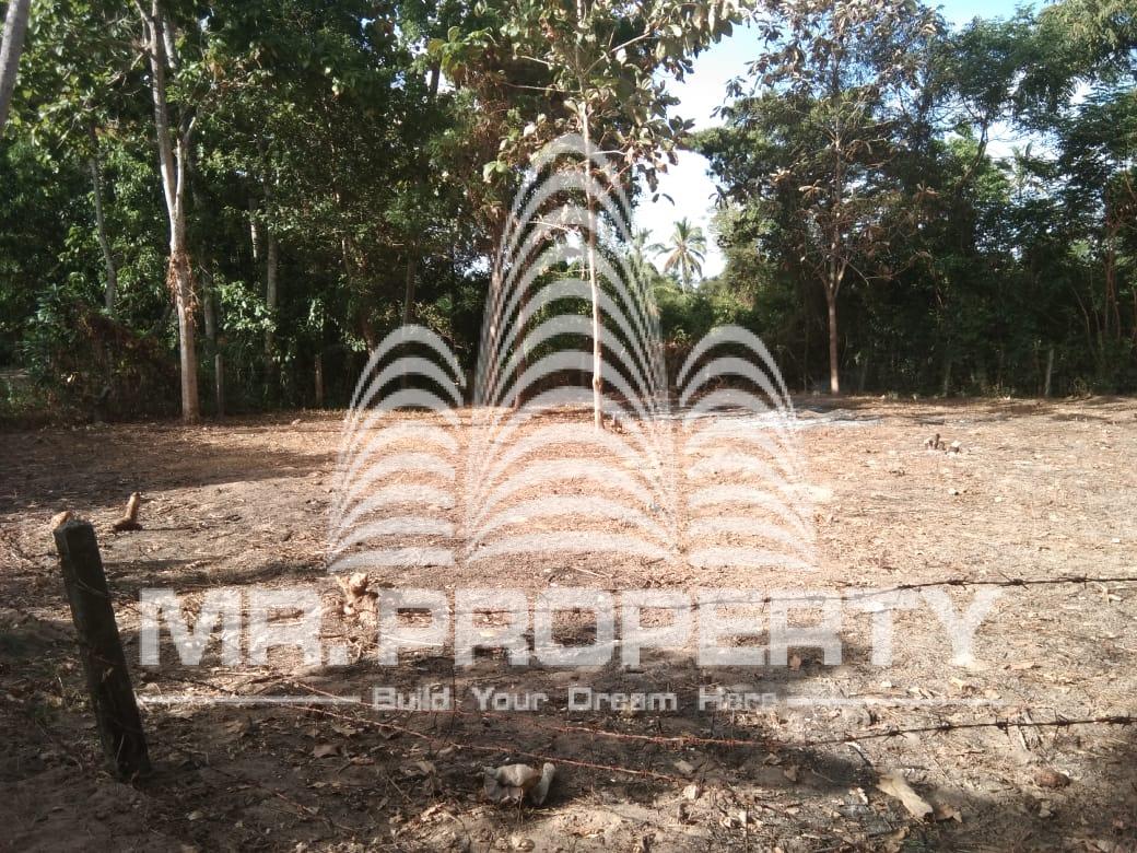 Land for sale minuwangoda