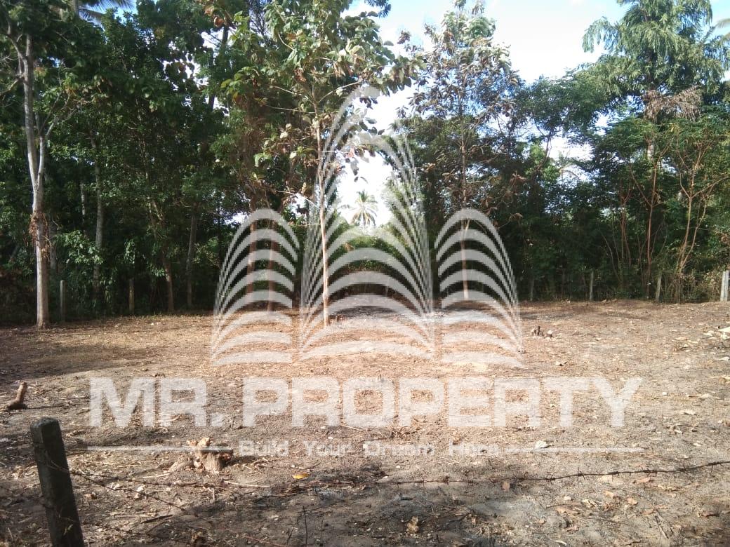 Land for sale minuwangoda