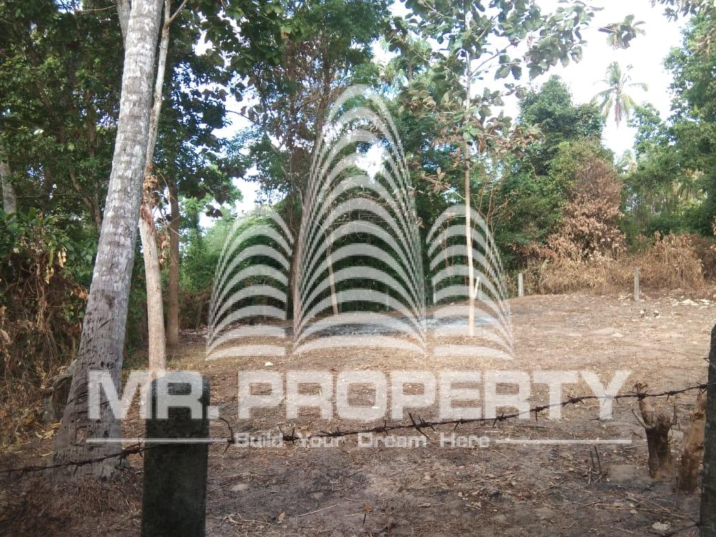 Land for sale minuwangoda