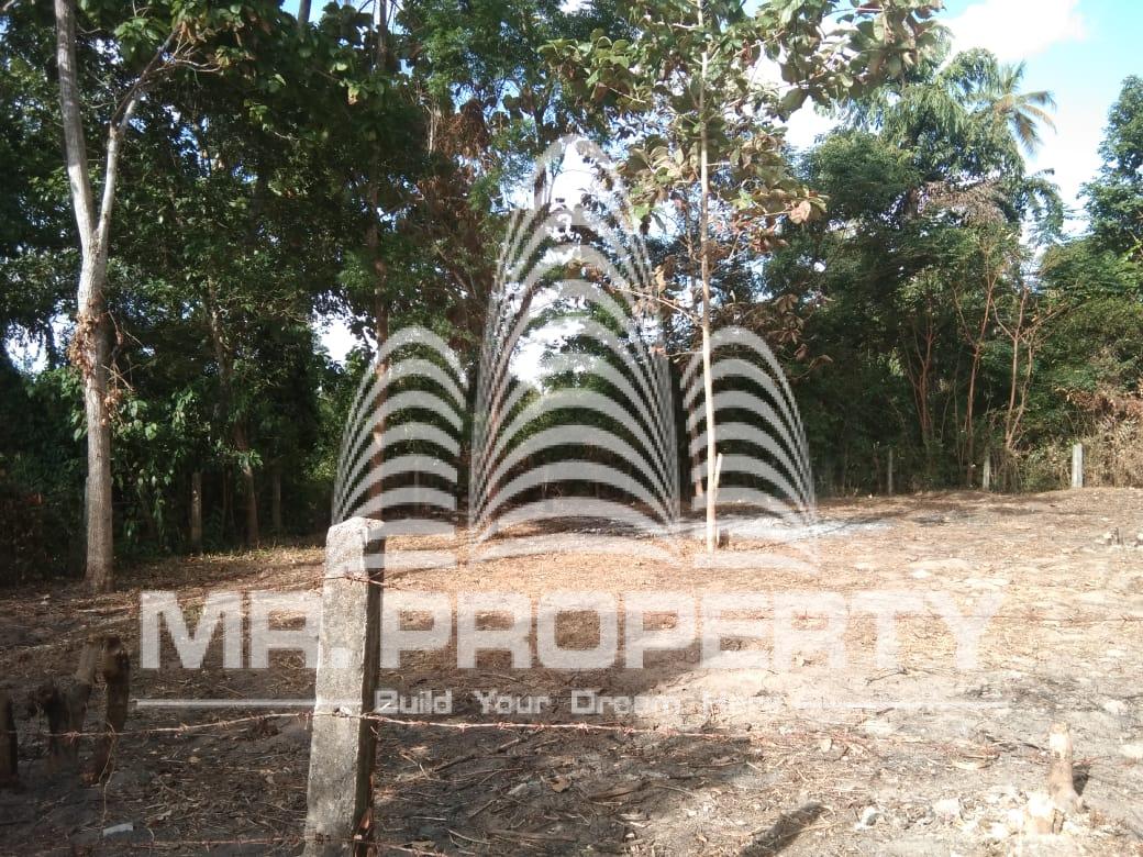 Land for sale minuwangoda