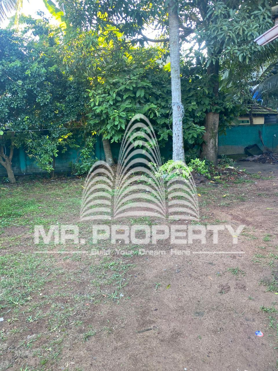 Land for sale kalaniya