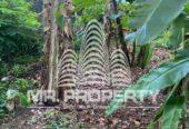 Land for sale kalaniya