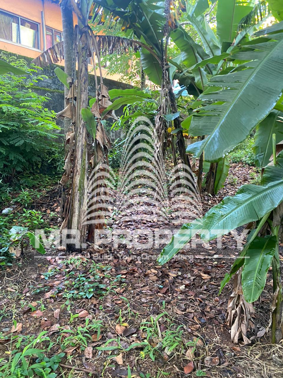 Land for sale kalaniya