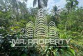 Land for sale ratnapura