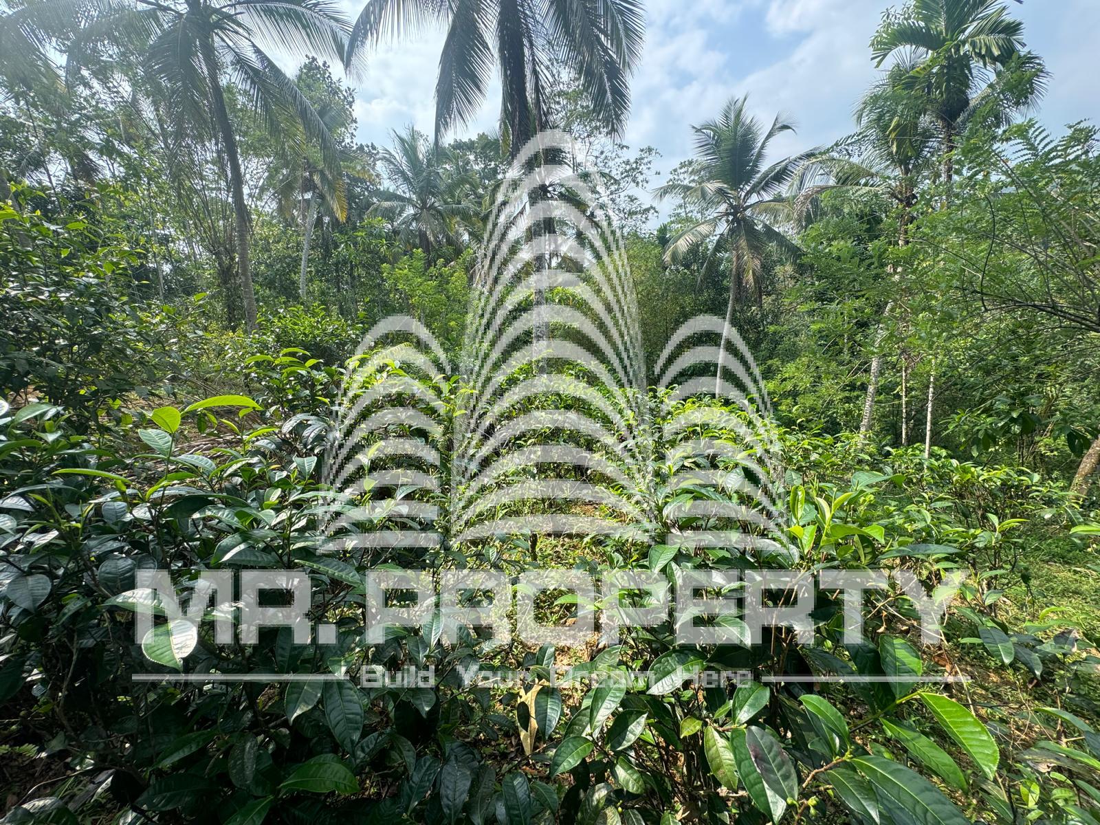 Land for sale ratnapura