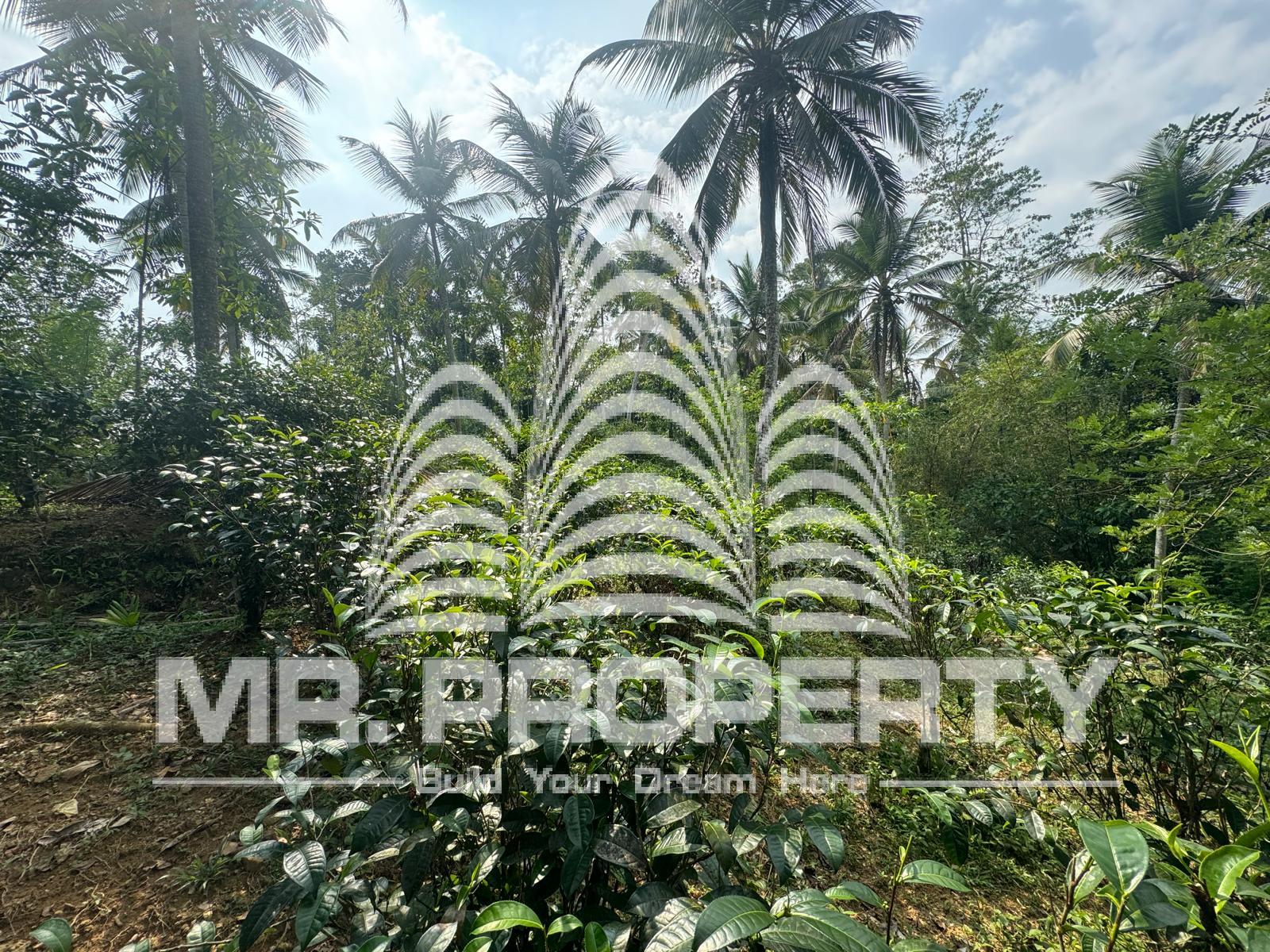 Land for sale ratnapura