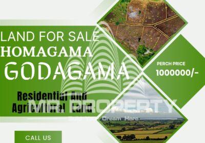 1000044309