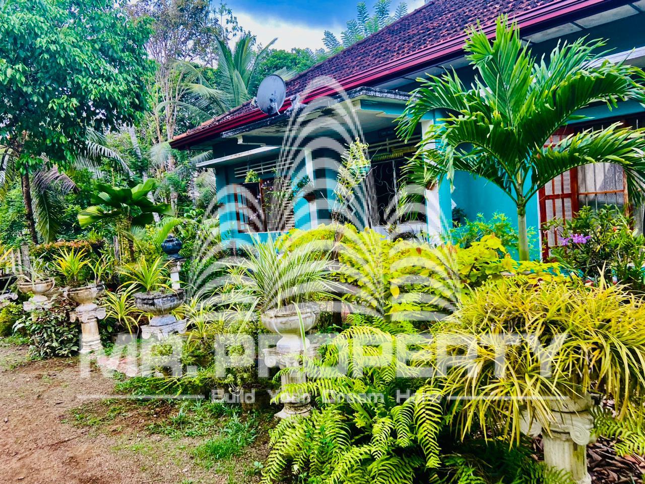 House and land for sale