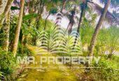 House and land for sale