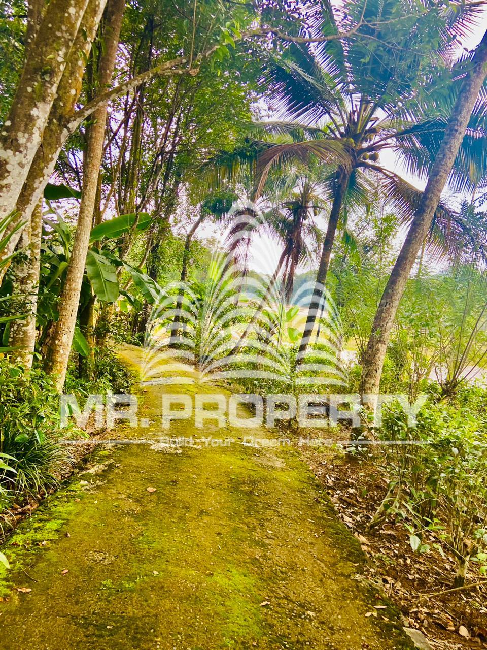 House and land for sale