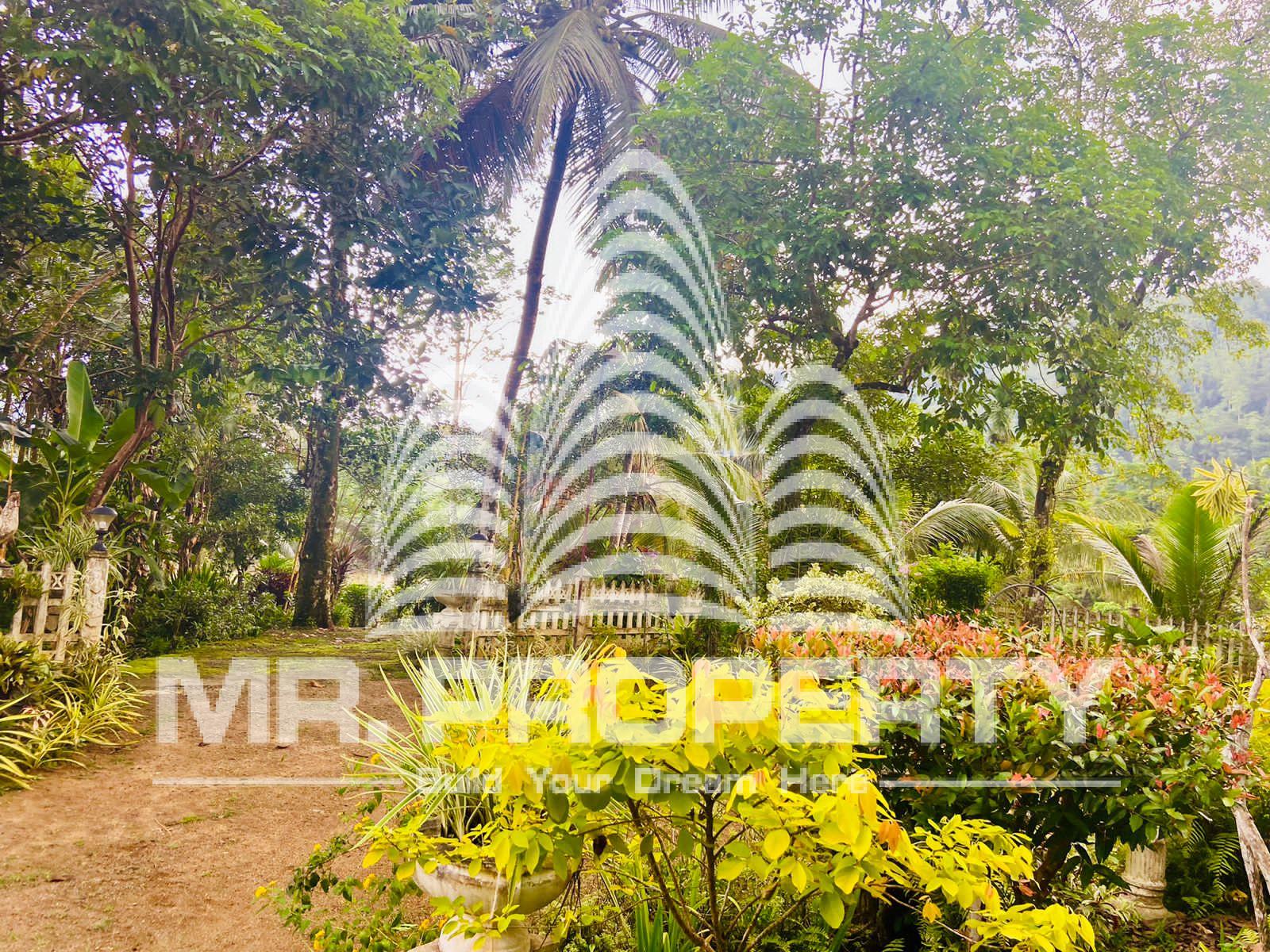 House and land for sale