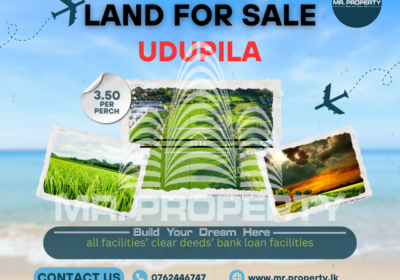 LAND-FOR-SALE-1