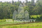 katana house for sale