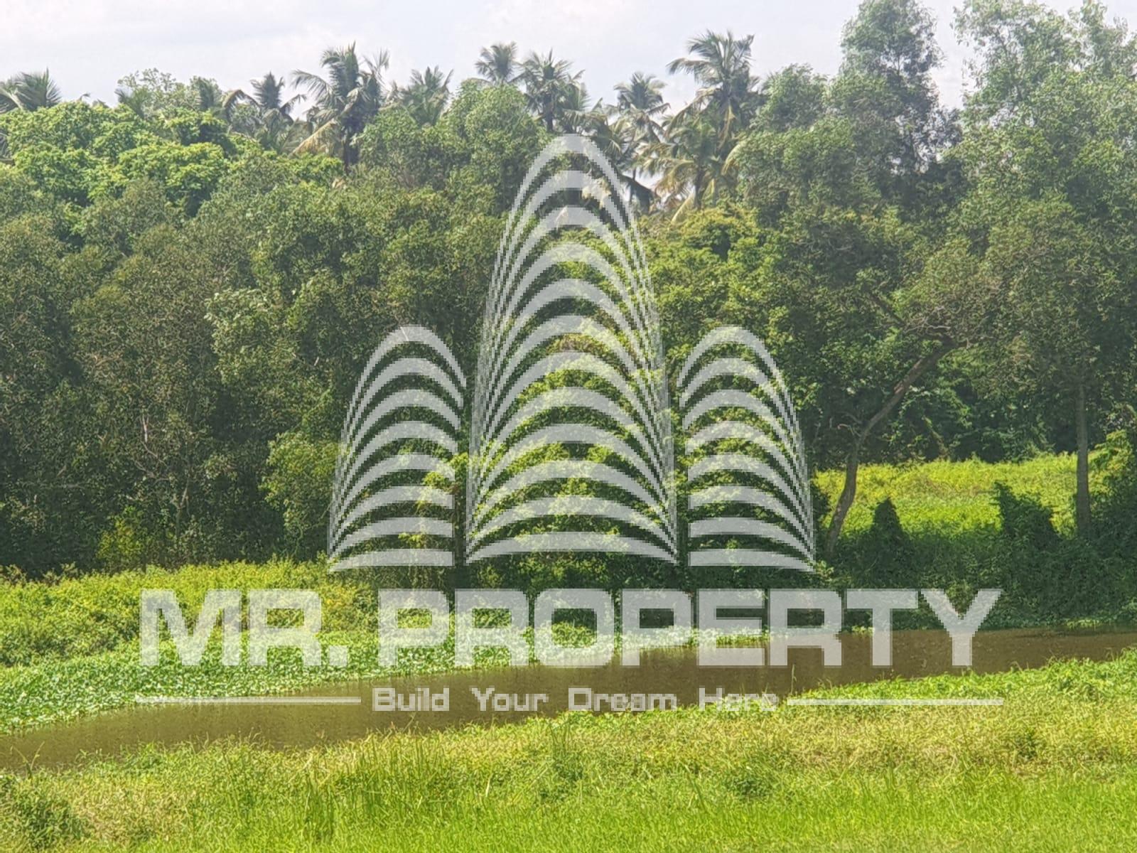 katana house for sale